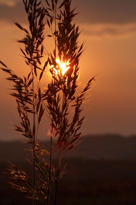 Vieleicht der letzte Sommersonnenuntergang