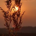 Vieleicht der letzte Sommersonnenuntergang