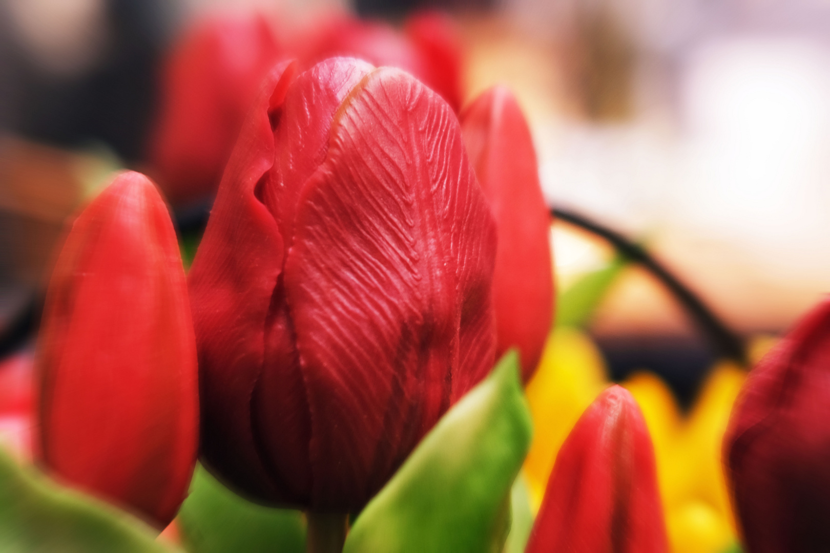 Vielen Dank für die Blumen