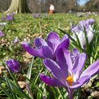 Vielen Dank für die Blumen...