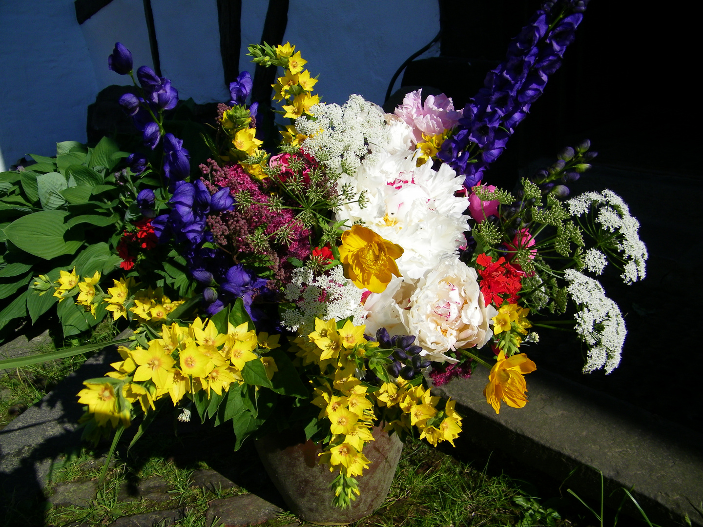 Vielen Dank für die Blumen ;-) Foto & Bild | archiv projekte