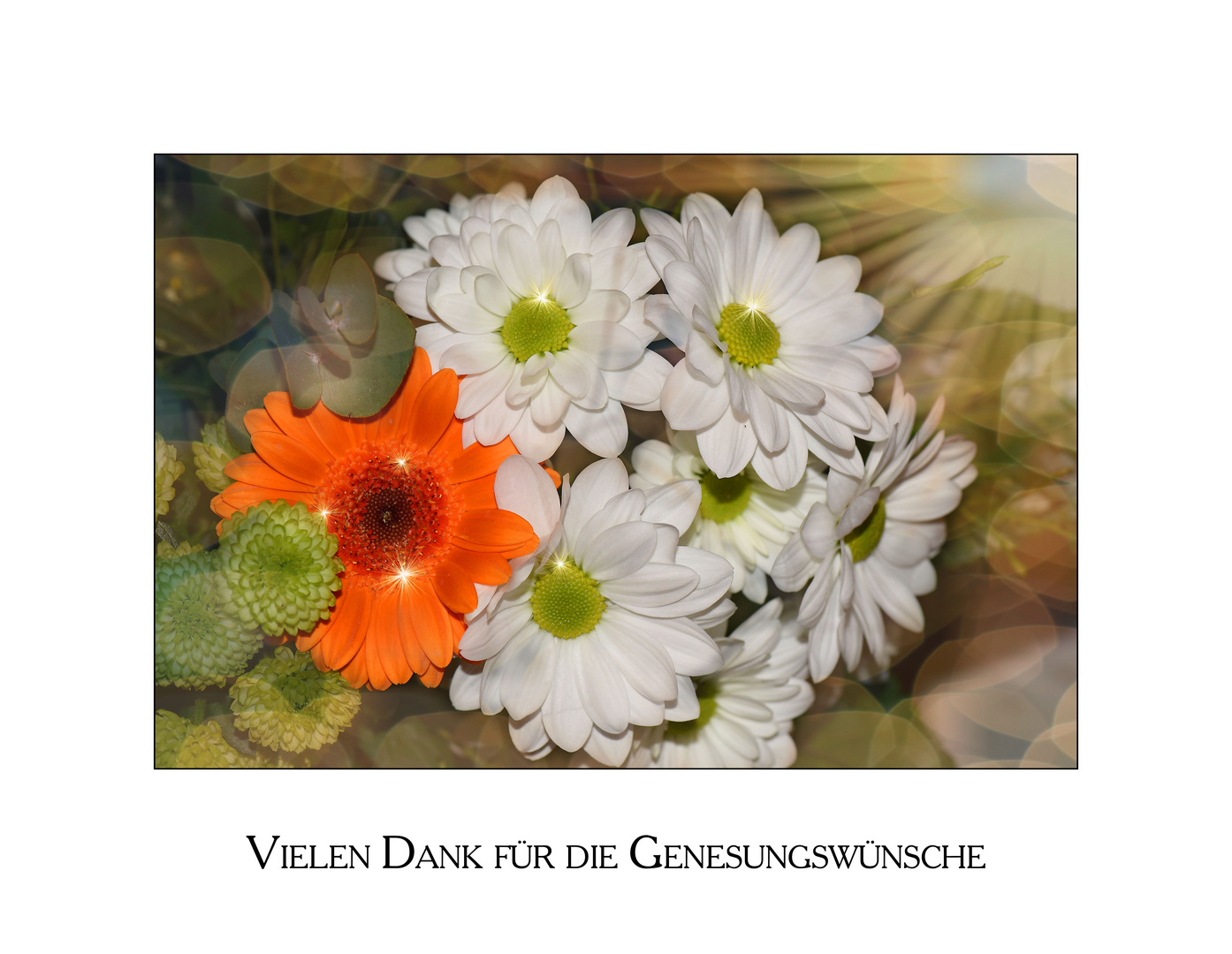 Vielen Dank Fur Die Genesungswunsche Foto Bild Karten Und Kalender Dankeschon Karten Bilder Auf Fotocommunity