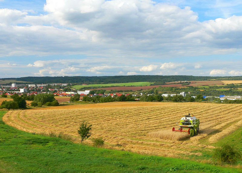 Vielen Dank Himmel für die Ernte