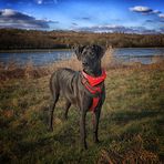 Vielen Dank, liebe Fotofreunde....