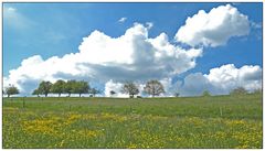 Vielfältig die Farben im Frühling