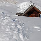 Vielfältige Bedrohung