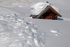 Vielfältige Bedrohung