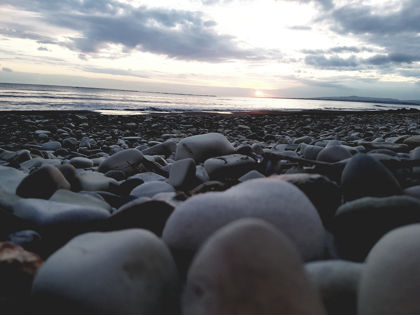 Vielfalt am Strand