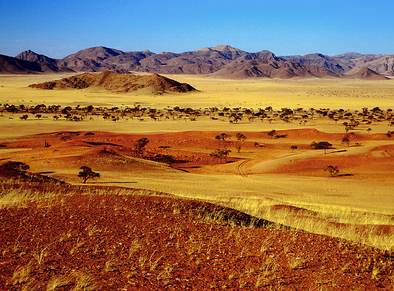 Vielfalt der Namib