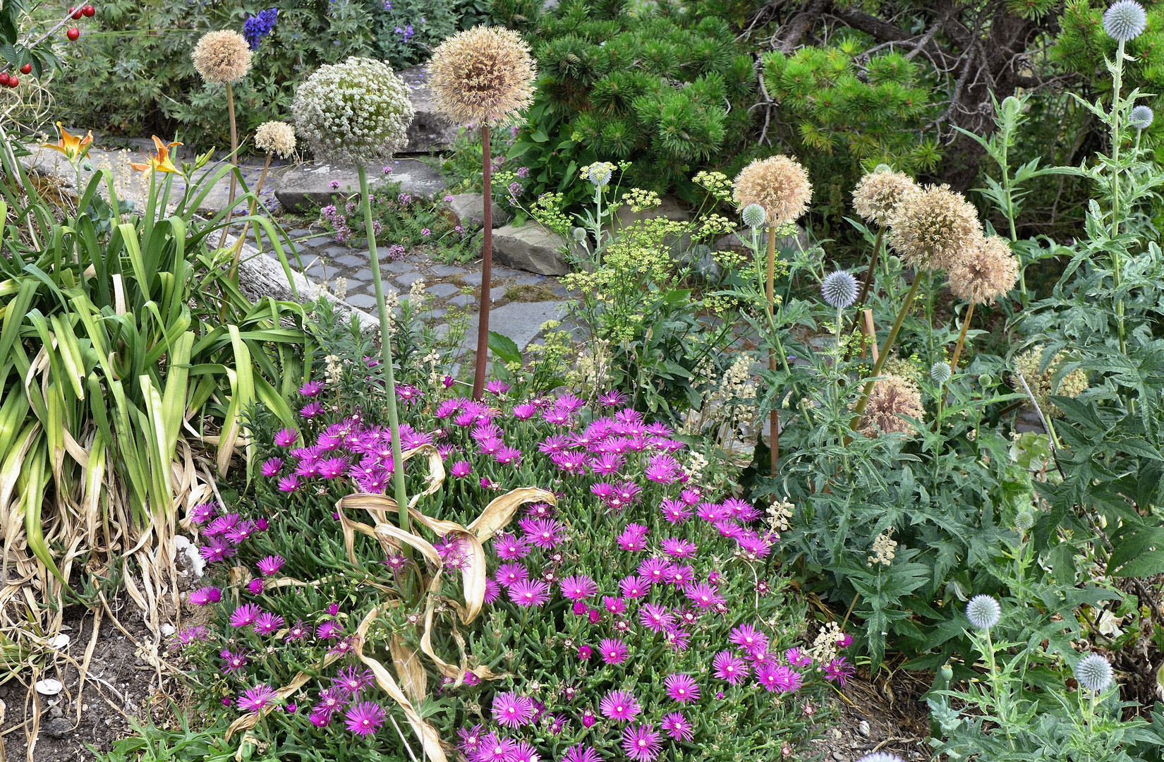 Vielfalt im Gartenparadies