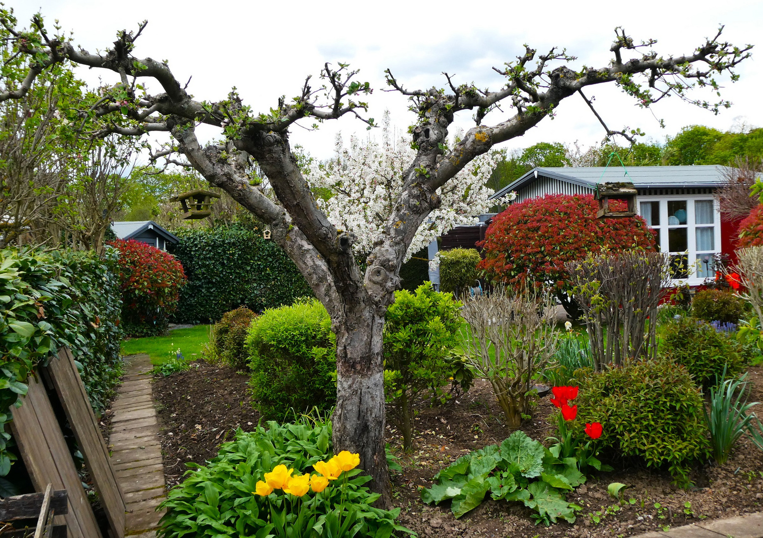 Vielfalt im Schrebergarten