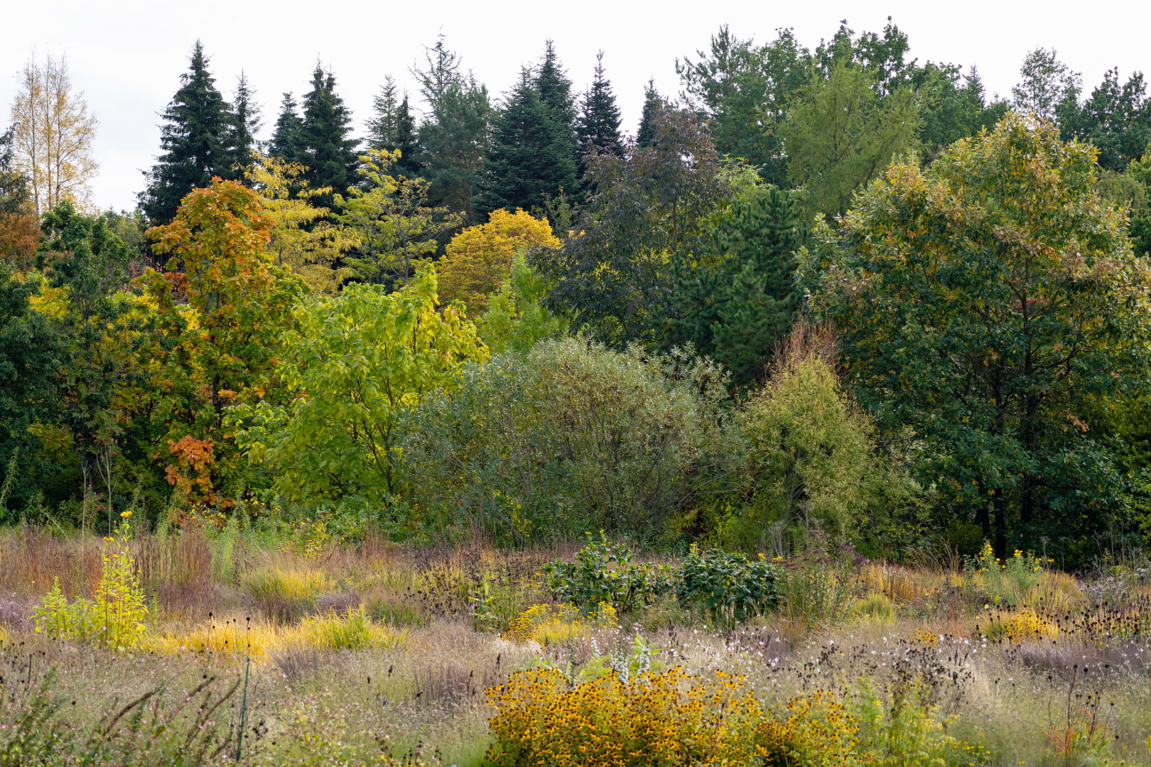 Vielfalt Natur