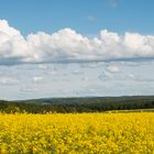 Vielleicht noch ein Schnaps im Raps