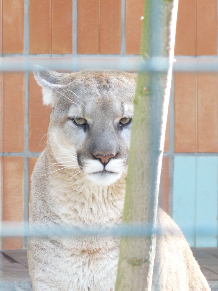 vielsagender Blick