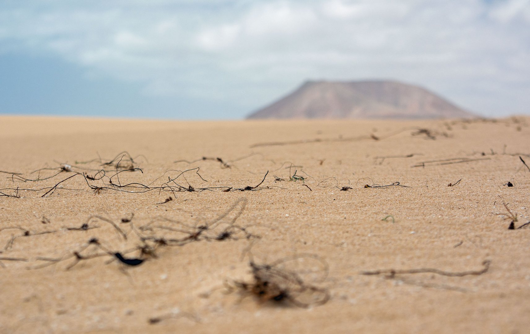 Viel_Sand_und_der_Versuch_zu_überleben