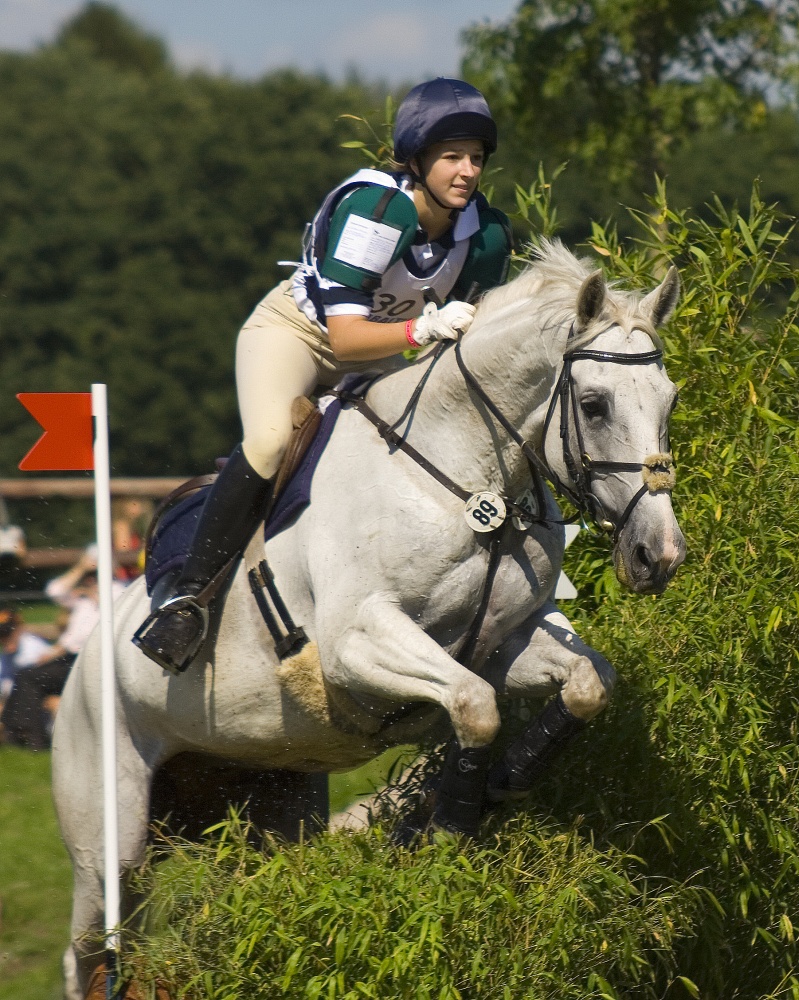 Vielseitigkeit CIC 2* - Schenefeld II