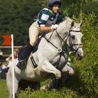 Vielseitigkeit CIC 2* - Schenefeld II