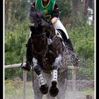 Vielseitigkeitsturnier in Velen