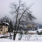 Vien la neve giù.. Tarvisio