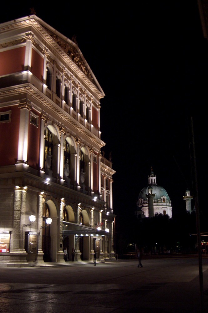 Viena nocturna