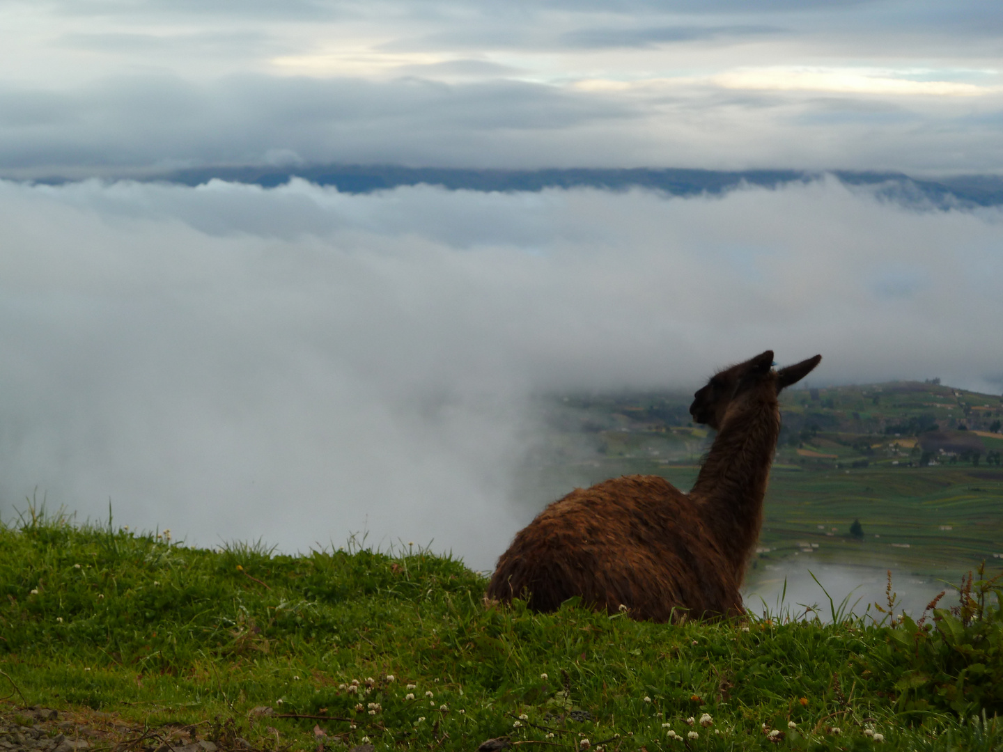 Viendo el amanecer