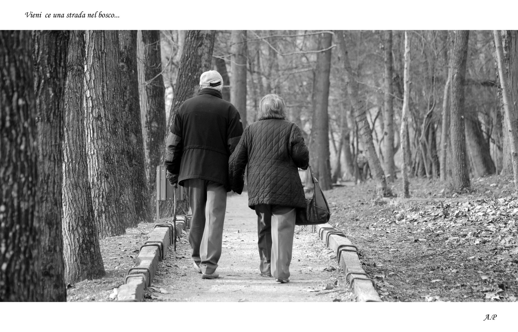 vieni ce una strada nel bosco