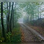 Vieni fuori nel Bosco...........