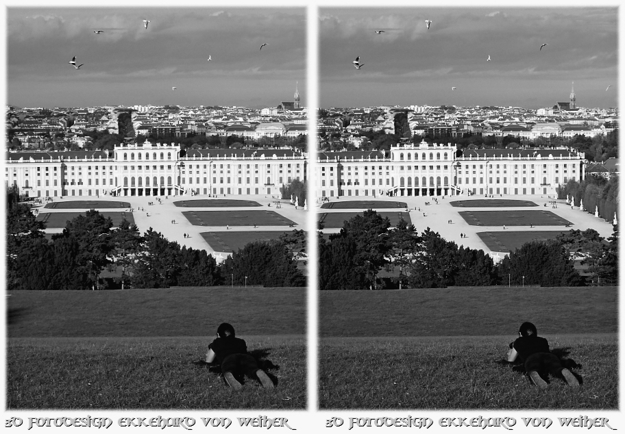 Vienna 3D Schonbrunn Palace