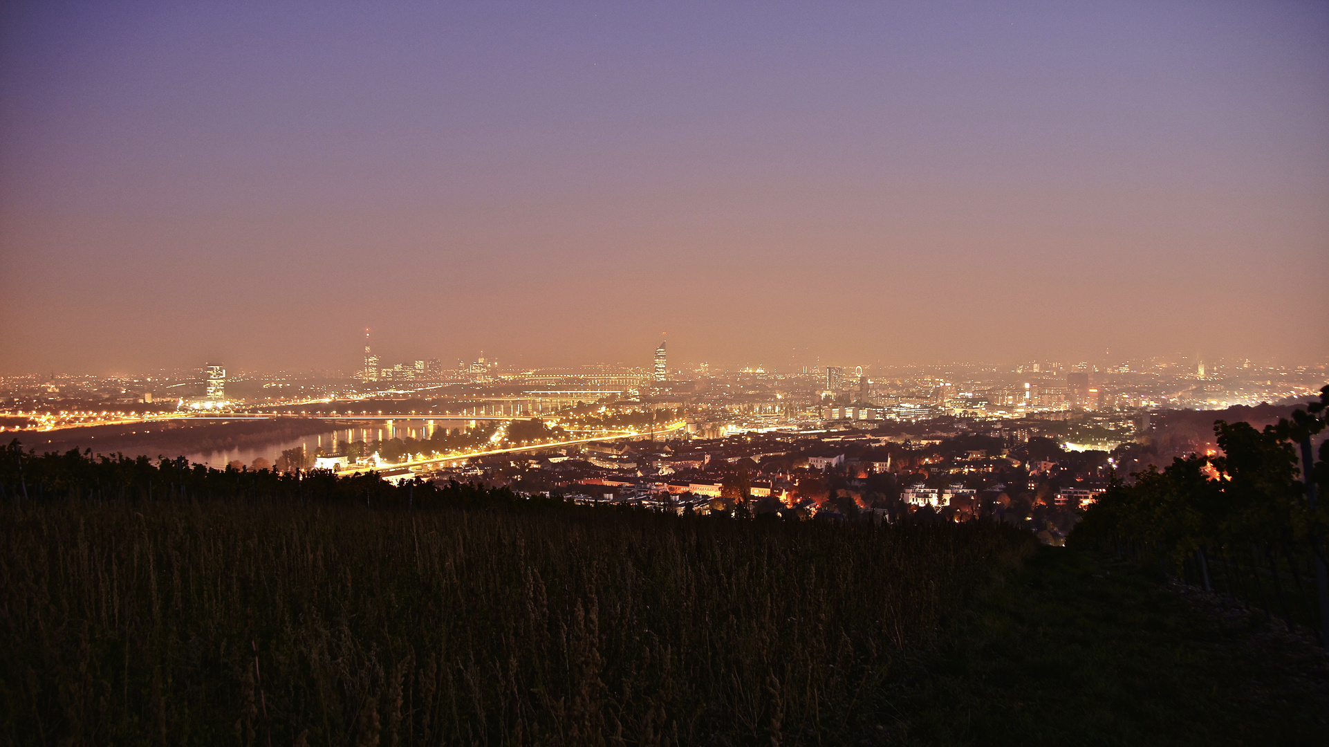 Vienna at night