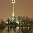 Vienna at night