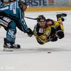 Vienna Capitals