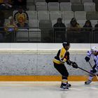 Vienna Capitals