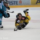 Vienna Capitals_1