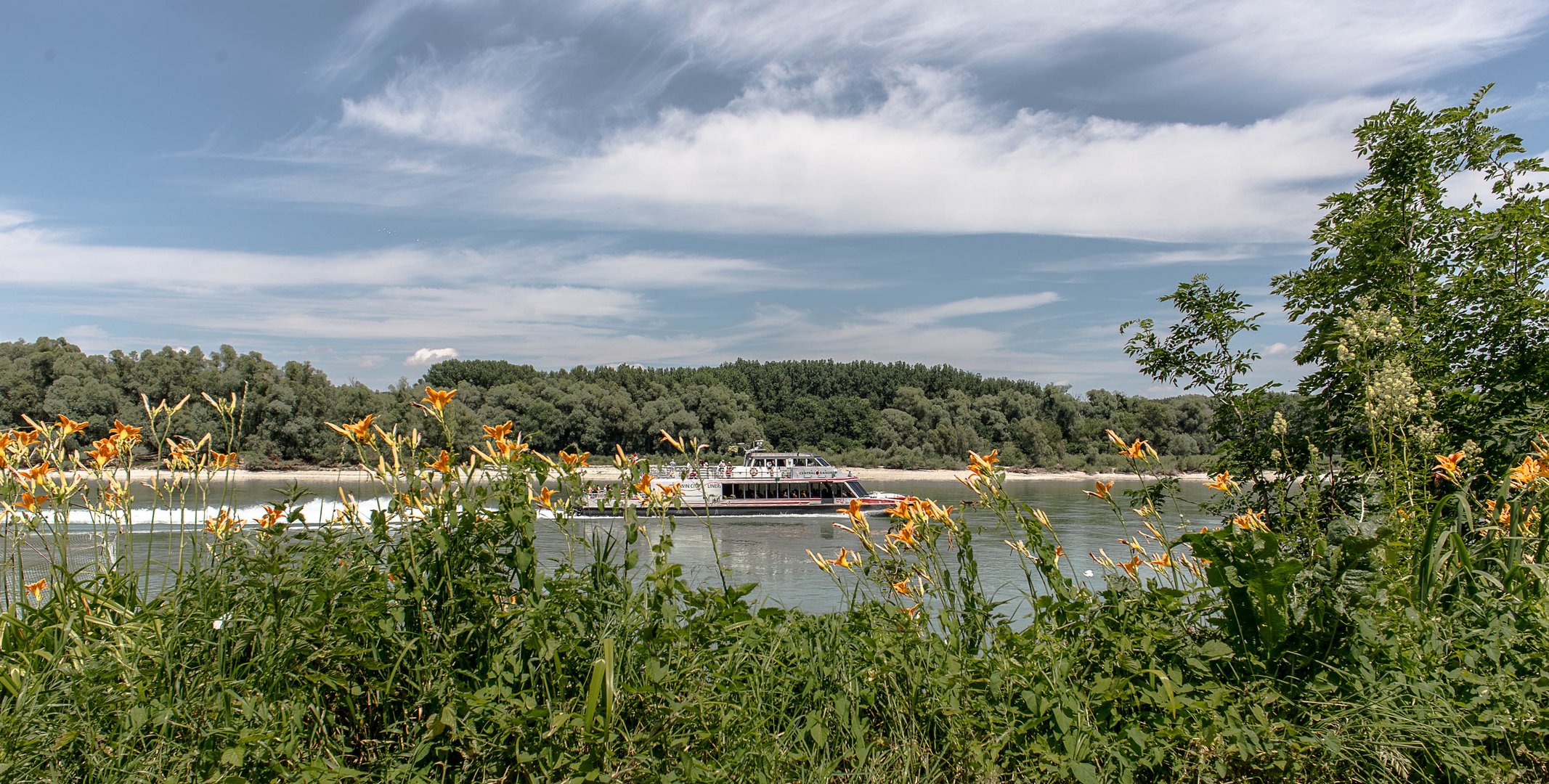 Vienna City Liner auf dem Wege noch Bratislava.