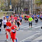 Vienna City Marathon 2015 -1