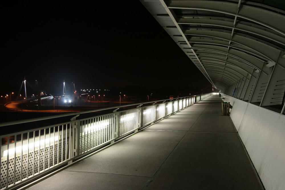 vienna danube plant at night