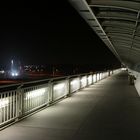 vienna danube plant at night