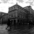 Vienna Opera 