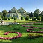 Vienna - Palm House Garden