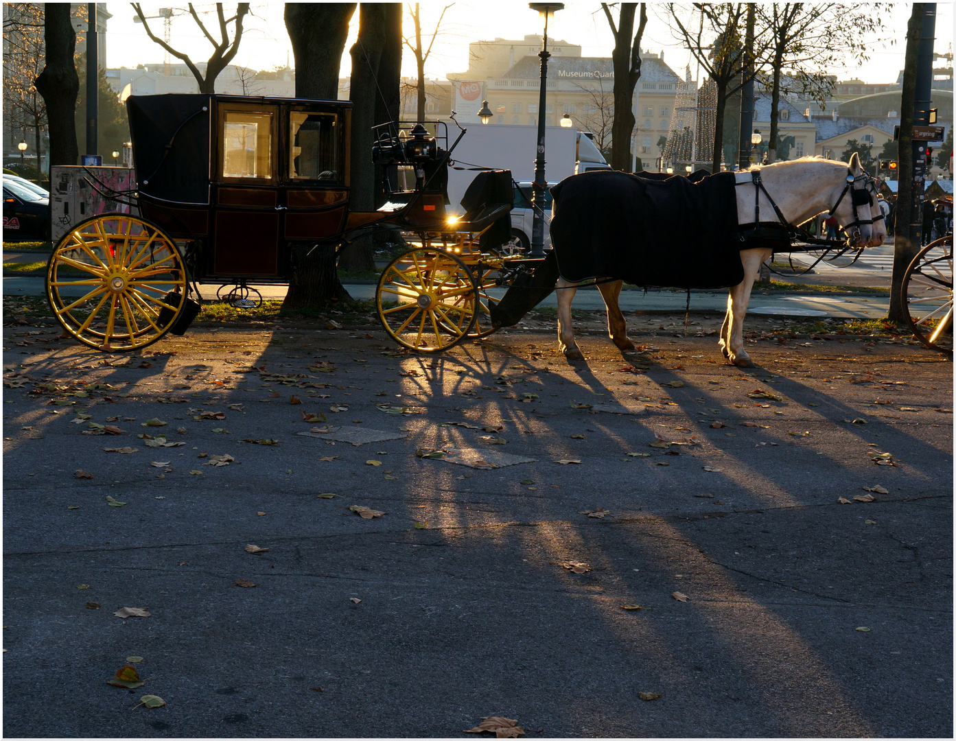 Vienna Shadows