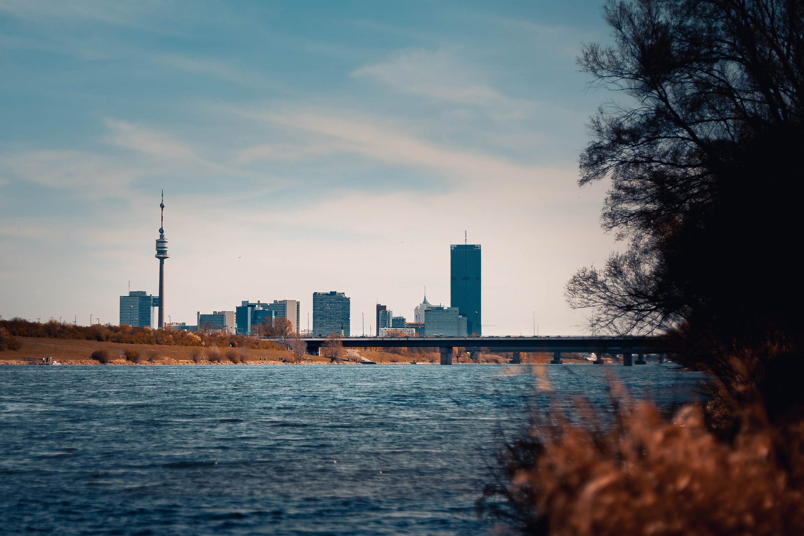 Vienna Skyline