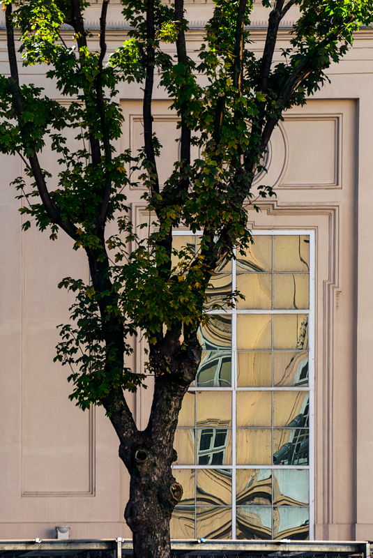 Vienna window