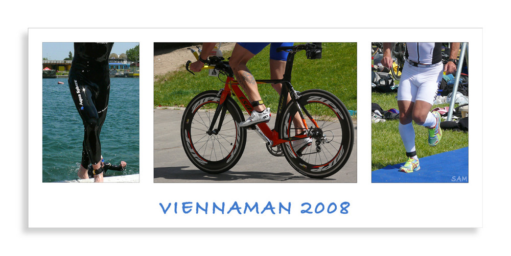 Viennaman 2008