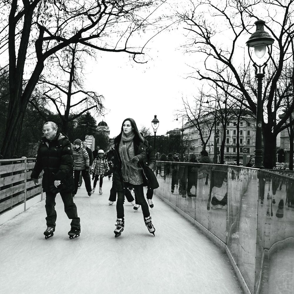 Viennese ice dream