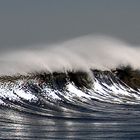 Viento