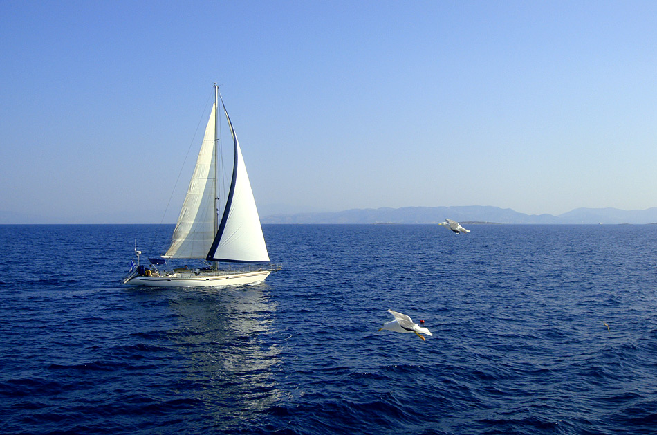 Viento de cola