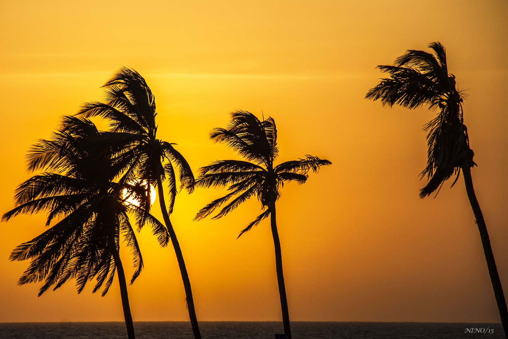 VIENTO DEL CARIBE