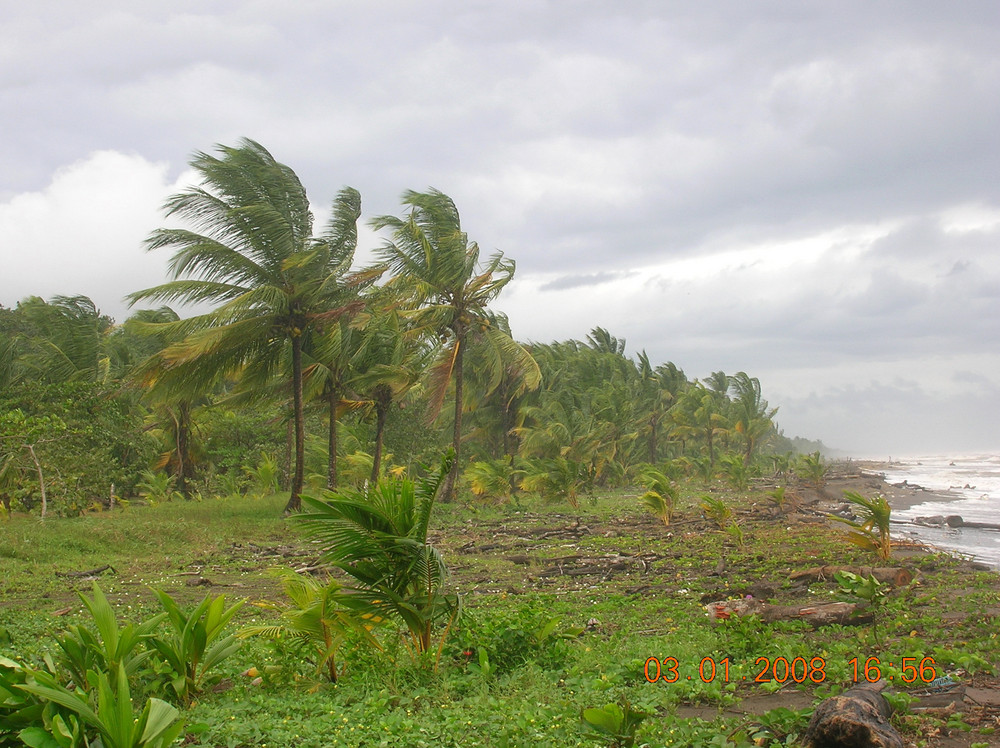 viento en el caribe