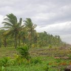 viento en el caribe