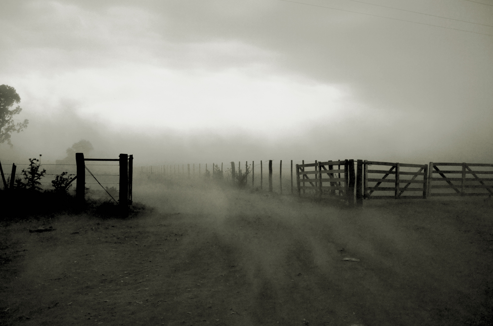 viento pampero